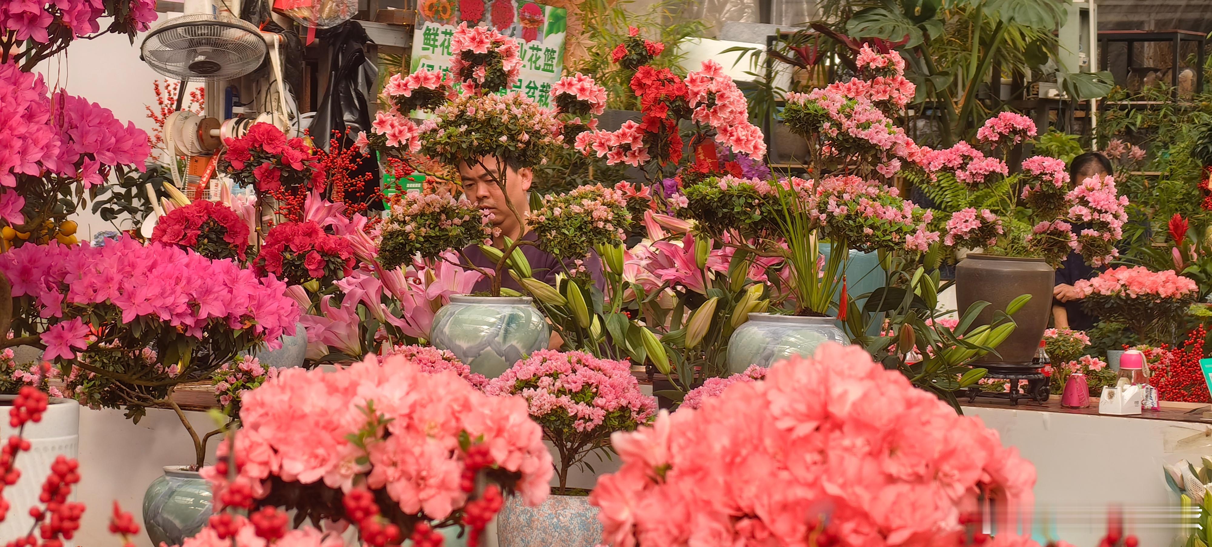 春节摄影大赛除夕的花市，是一场流动的盛宴。红的灯笼、金的年桔、粉的桃夭，每