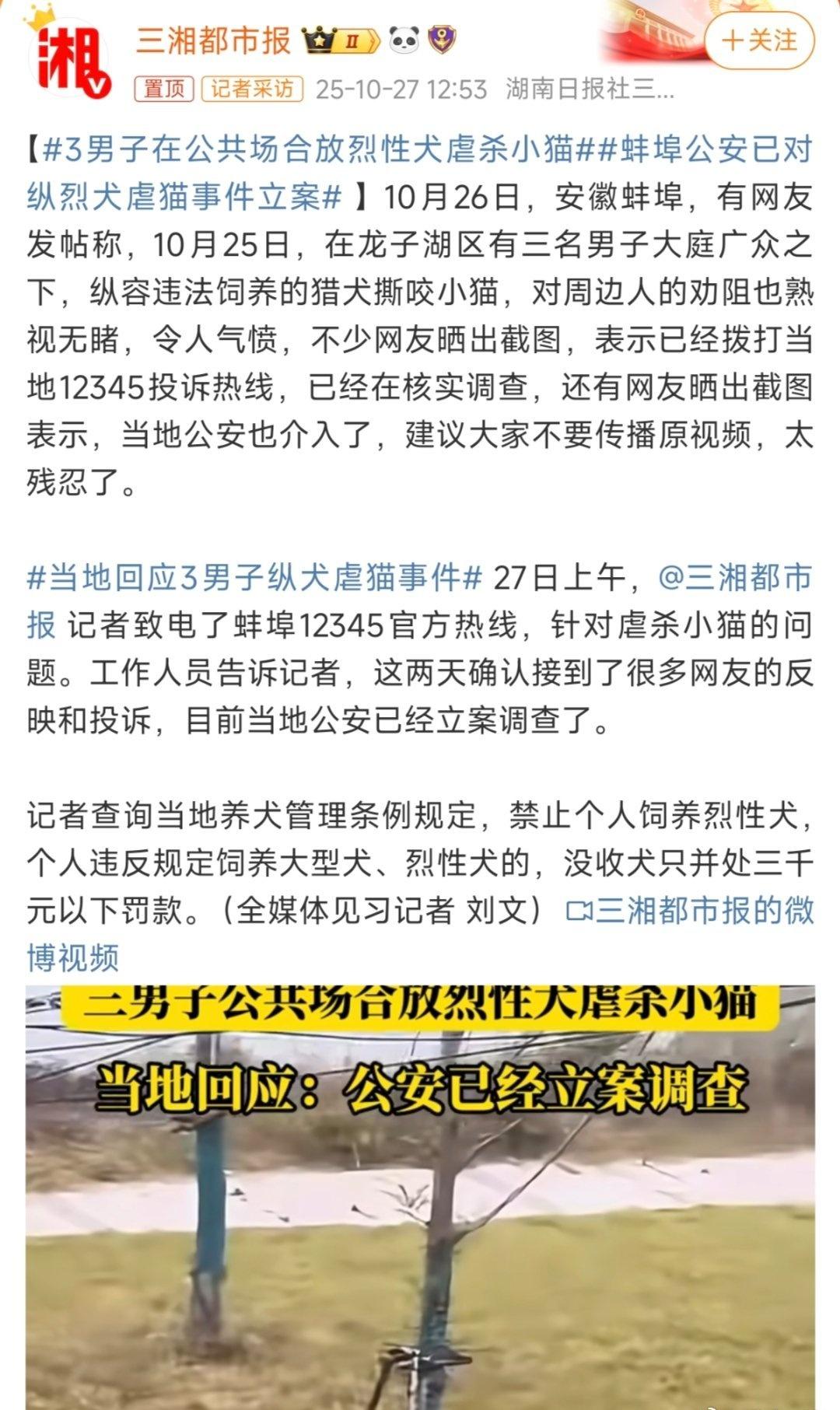 虐猫可能还只是次要问题。烈性犬碰过血之后可能会激发野性，有概率人猫不分碰到小孩