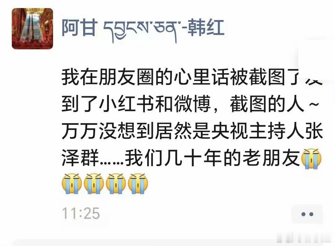 张泽群也是冤，本意是替韩红说好话，鼓励韩红，并意在让大家原谅韩红，放过韩红，没成