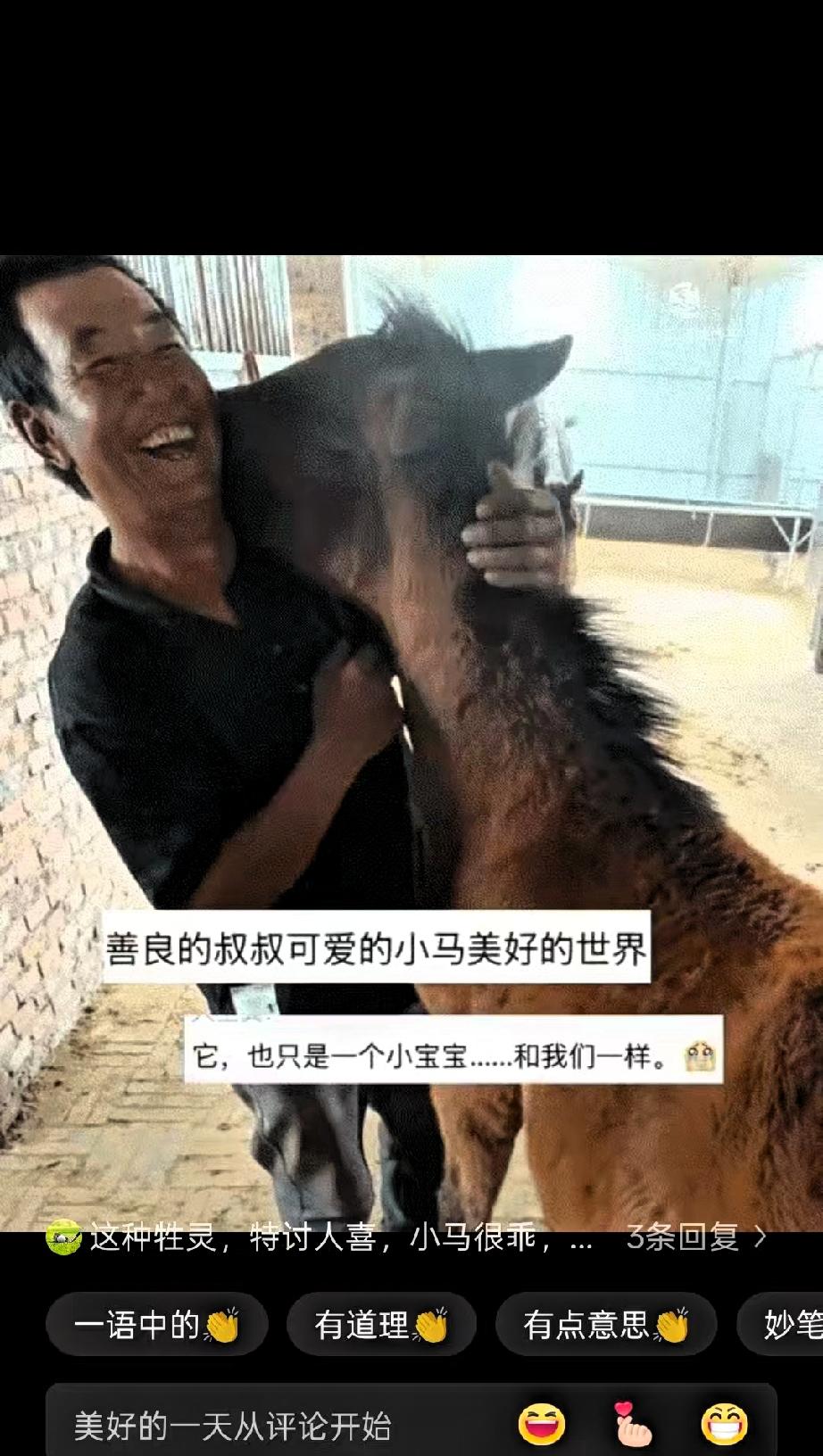 内蒙古一位兽医上门给刚出生不久的小马打疫苗。整个过程很顺利，小马没怎么挣扎，等主
