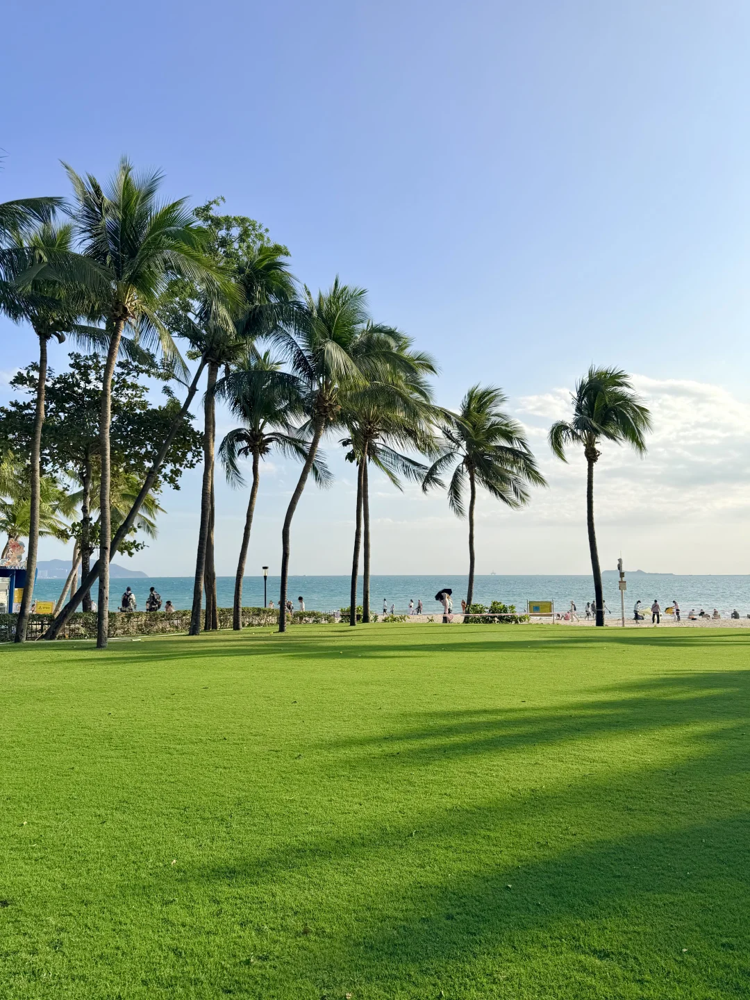 三亚果然最美的地方都是免费的…📍live合集