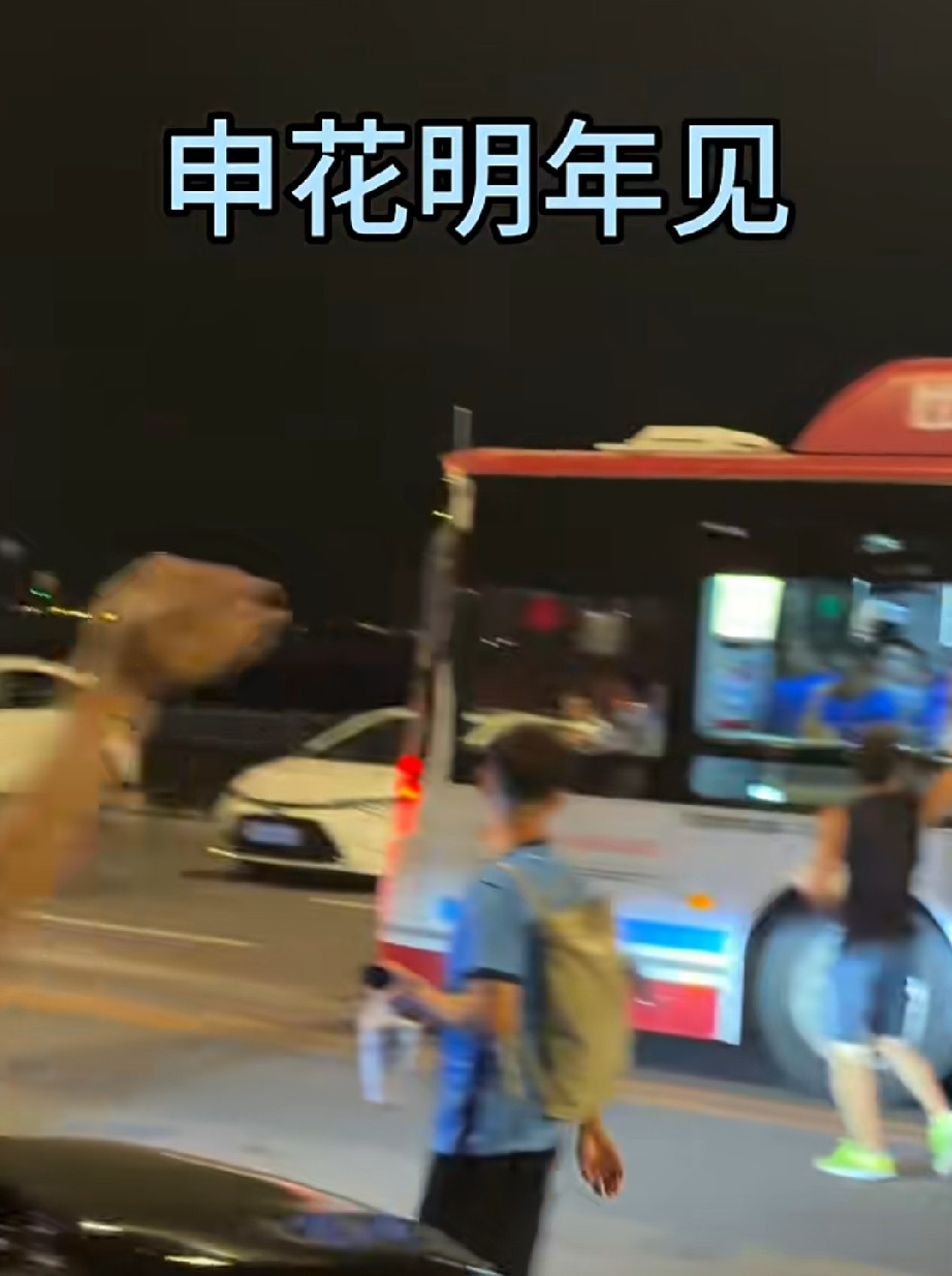 这是大连英博和上海申花足协杯比赛后的一幕，大连球迷纷纷欢送申花球迷大巴，并高喊欢迎下次再来。中国职业