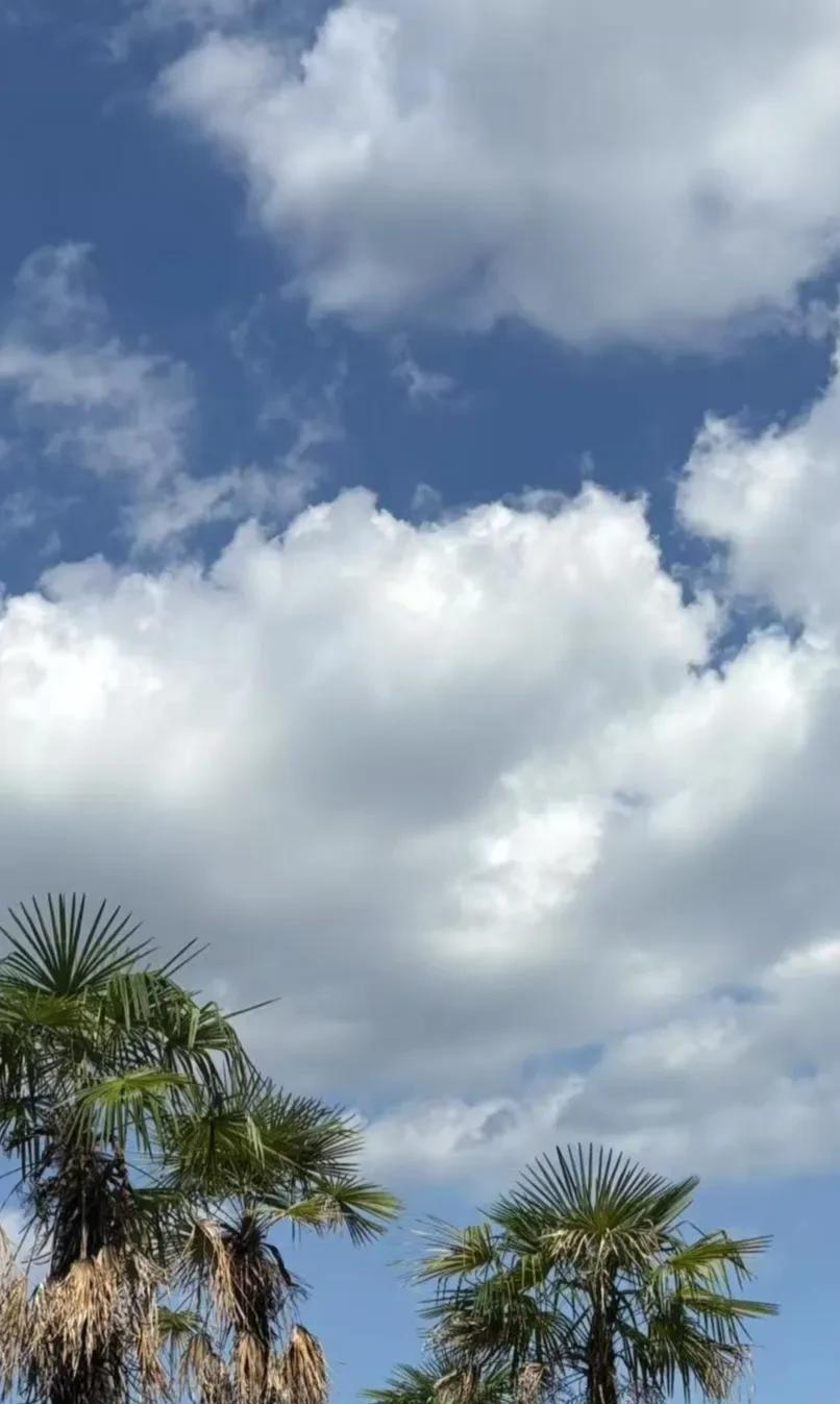 片区经理，周经理，已确认离职，且这个月上满就离开。不过，他今天没来公司上班了。