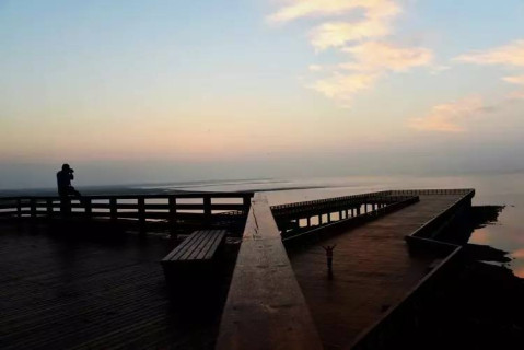 葫芦岛自己的红海滩——兴城红海栈道正式扬帆"_cninr 葫芦岛自己的红海滩——兴城红海栈道正式扬帆"