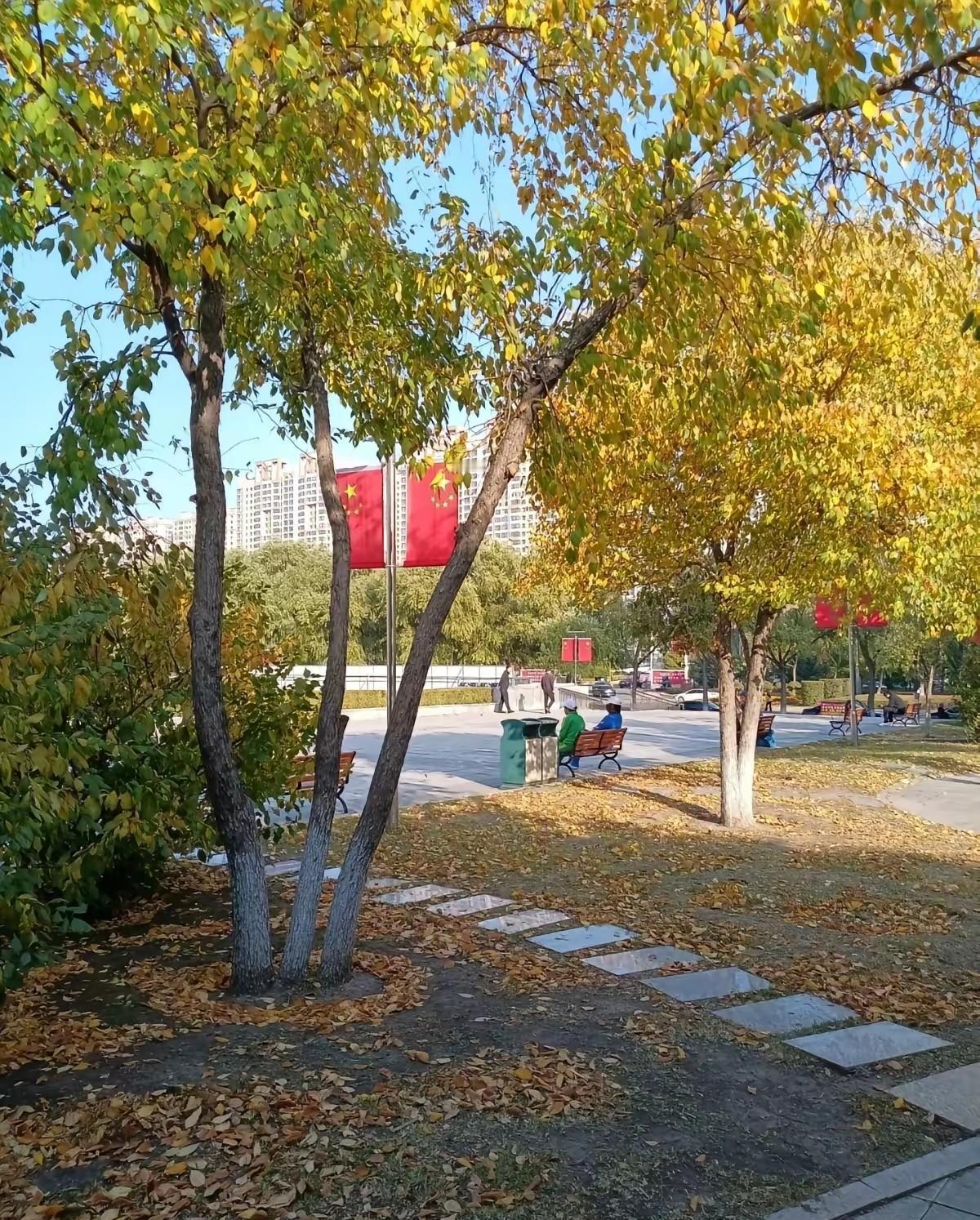 别再说“养儿防老”了，现在流行“养儿啃老”。72岁，退休金1580块。被儿子