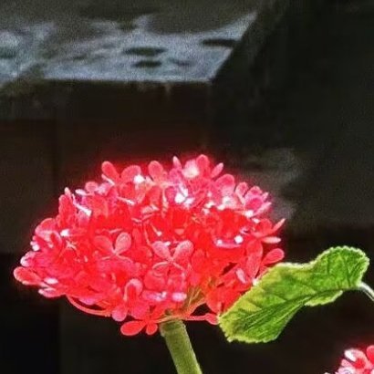 阳光信用每日‬一善实时号检测只有经历最痛苦的坚持，才配得上拥有最长久的幸福。真
