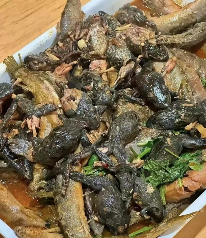 兄弟们，这是哪里的美食，我一个广东人表示下不了口