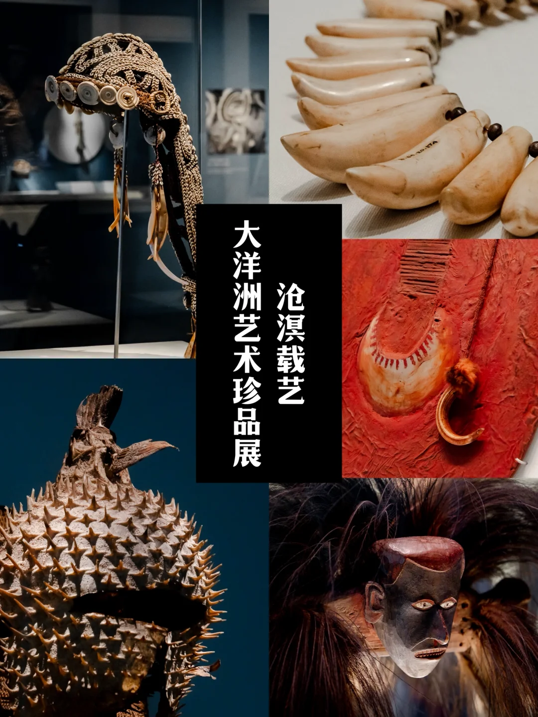 难得一见🌊深圳重磅大洋洲海外免费特展