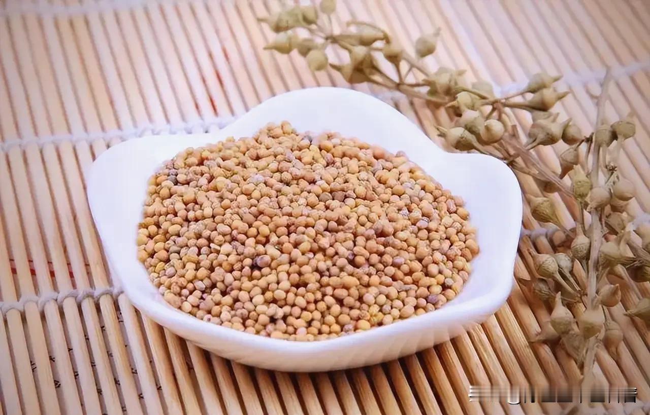 痰多生怪病！3味药专清老痰寒湿，痰去一身轻大家好，我是陈大夫！总觉得