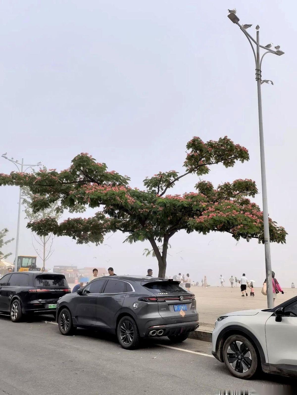 昨天下午，大连黑石礁广场。我刚踏上滨海步道，脚步就顿住了——那匹常年杵在广场上的