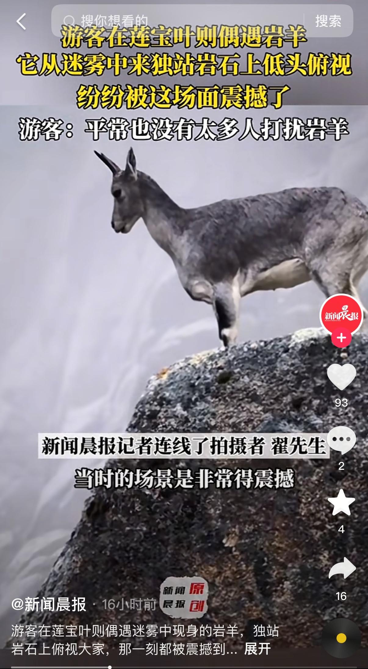 彻底看呆了！新华社转发的这幕，才是莲宝叶则最真的样子！四川莲宝叶则的雨雾里，