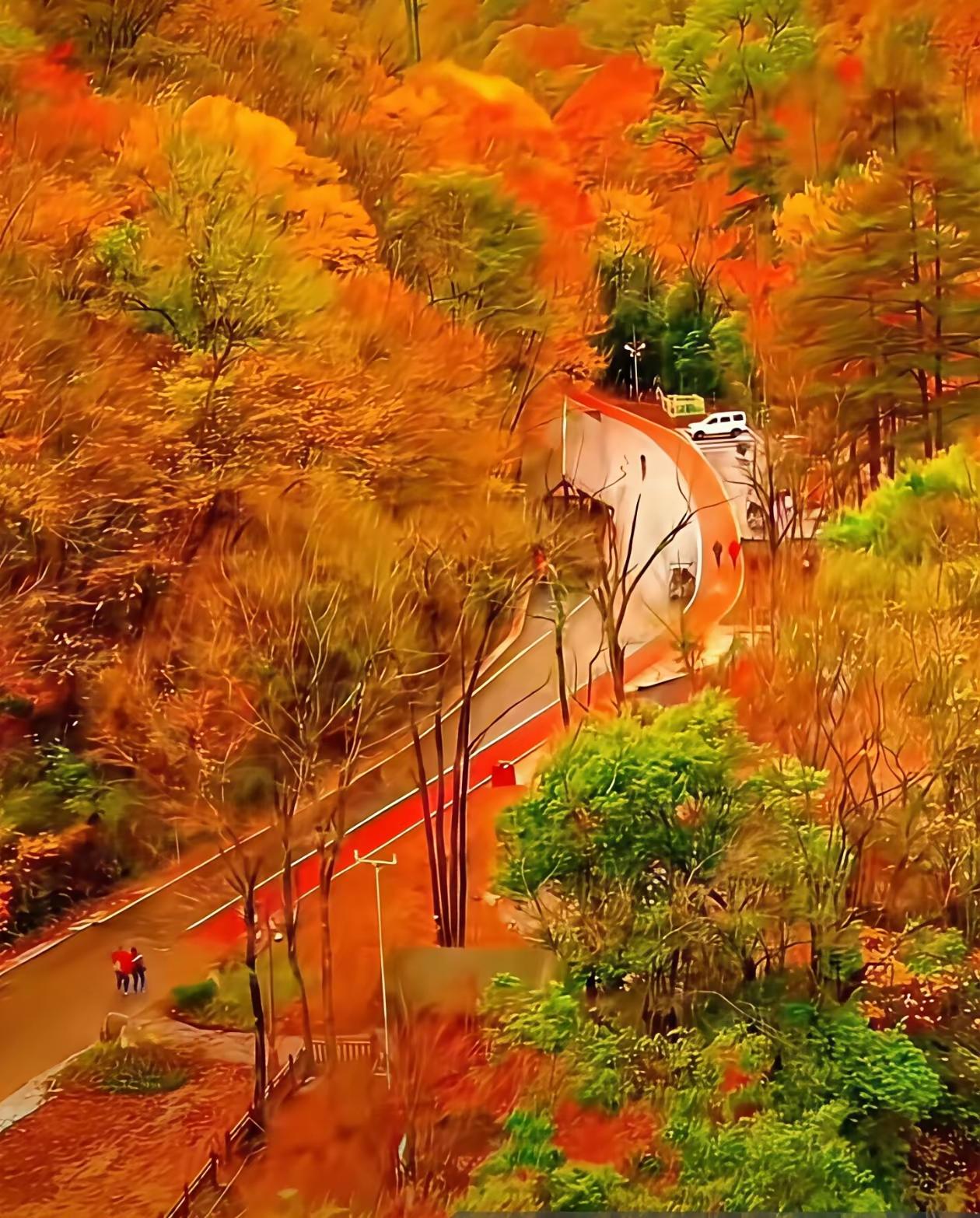 为人父母，是一场守心修口的修行为人父母，这一生最好的修行，不是挣多少财