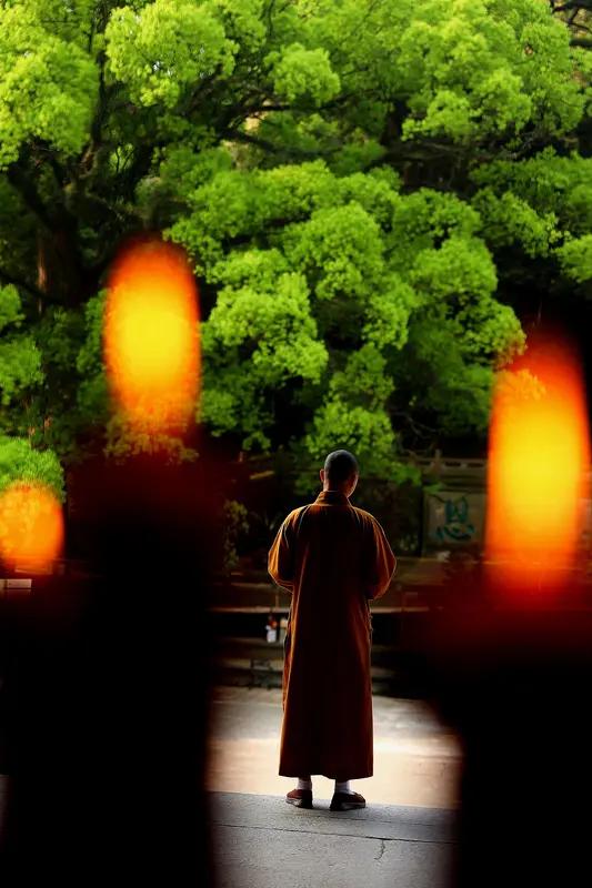 很有共鸣的一段话：“到了一定年纪就会明白，最好的生活方式是，不多看，不多言，不