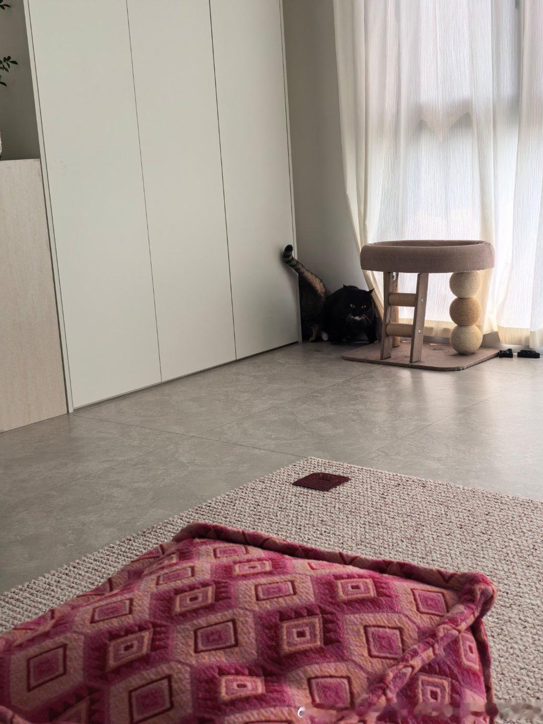 来福：哥哥是玩躲猫猫吗？发财：不是别烦我来福：我来啦发财：……妮娜一家