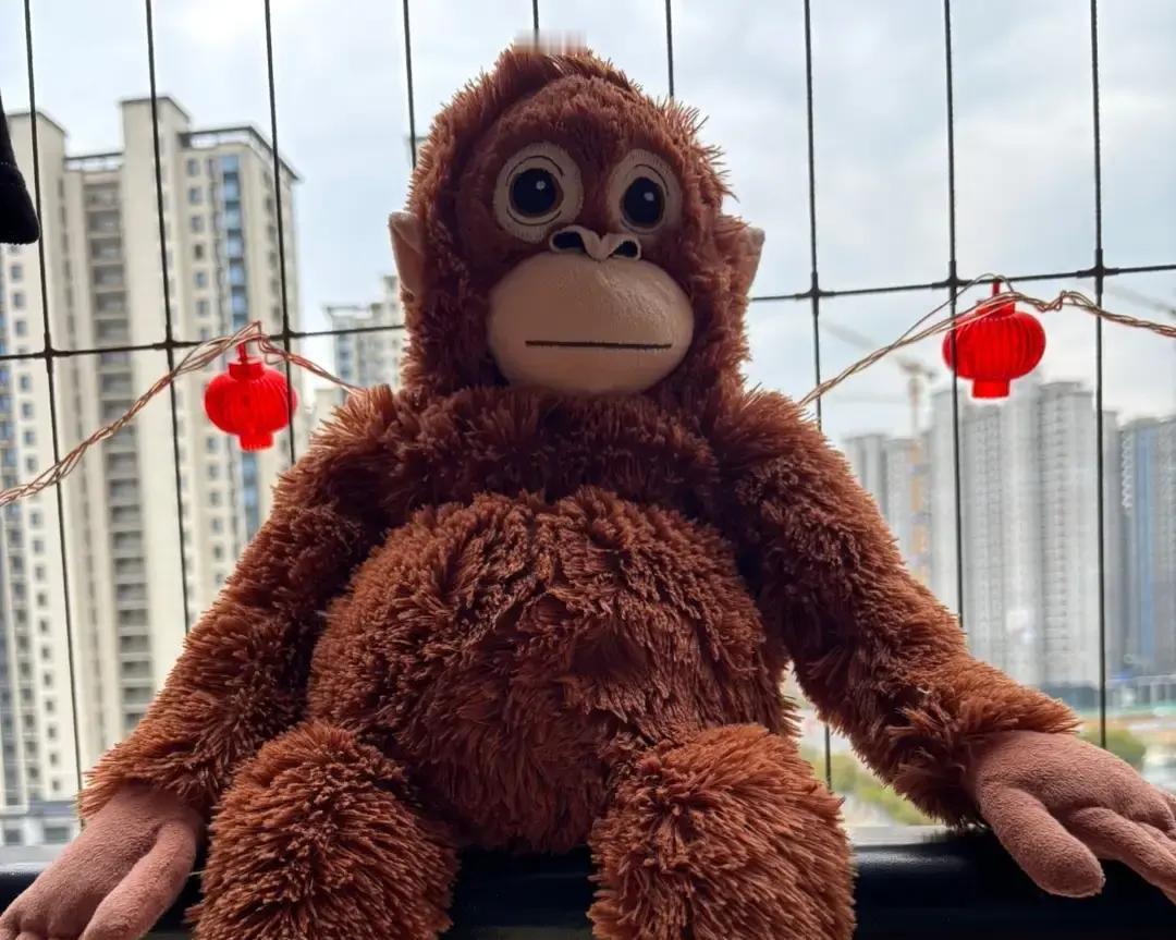 今年过年，我刷到一条热帖。博主给公公塞了一万红包，公公笑眯眯收下，转手掏出六