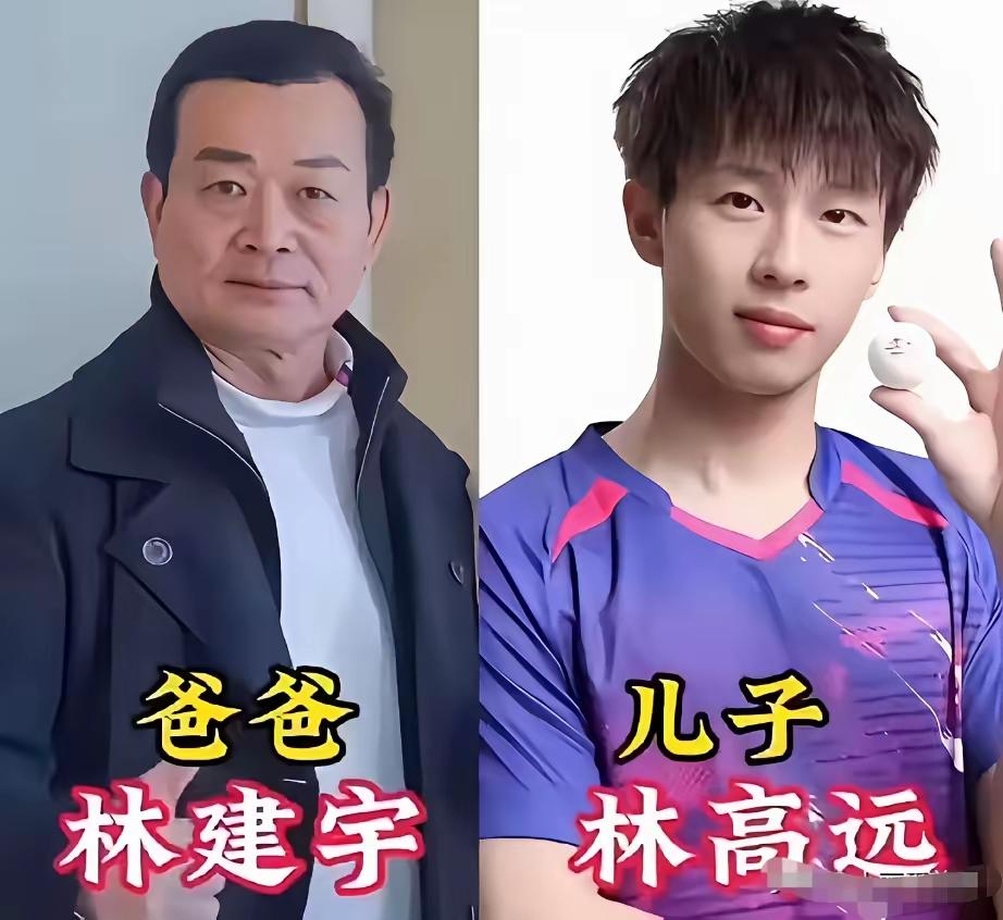 奥运健儿和爸爸们同框的照片，父爱如山，静谧而伟大，爸爸的爱总是更深沉，不像妈妈的
