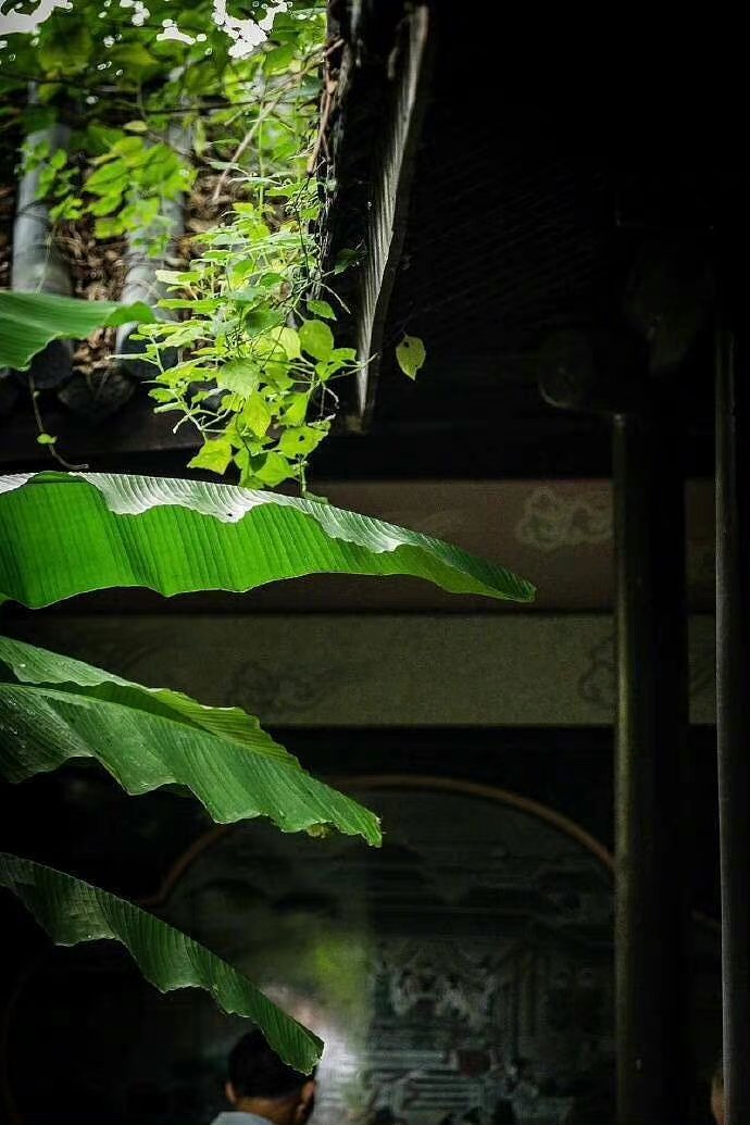 “今天飞花令｜主题【风、雨】古诗词”