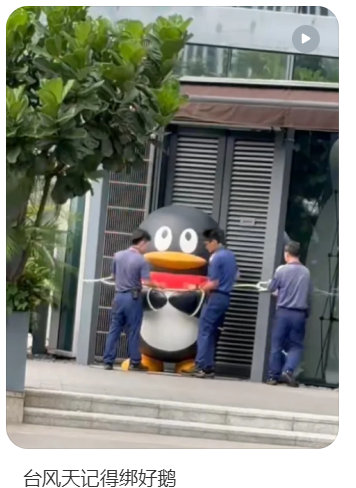 啊啊啊啊啊啊啊啊啊腾讯。“台风天记得绑好鹅”​​​