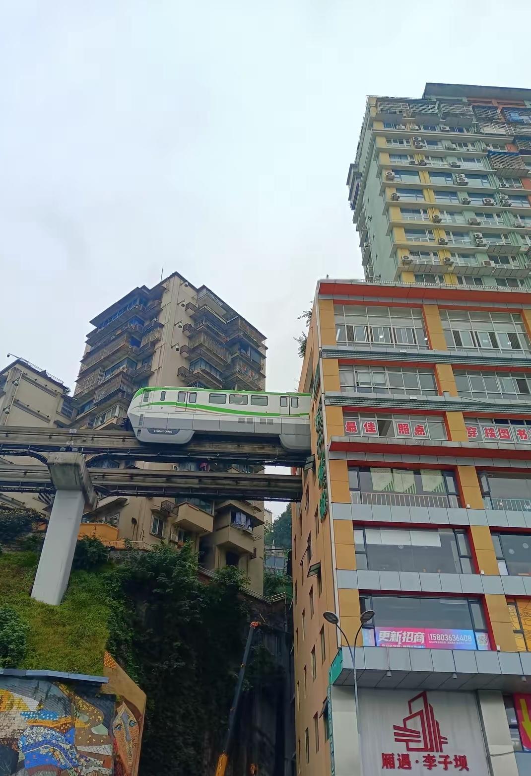 这位苏老师可太刚了！白天要接送上幼儿园的孩子，晚上还得管着初一那帮调皮的学生，一