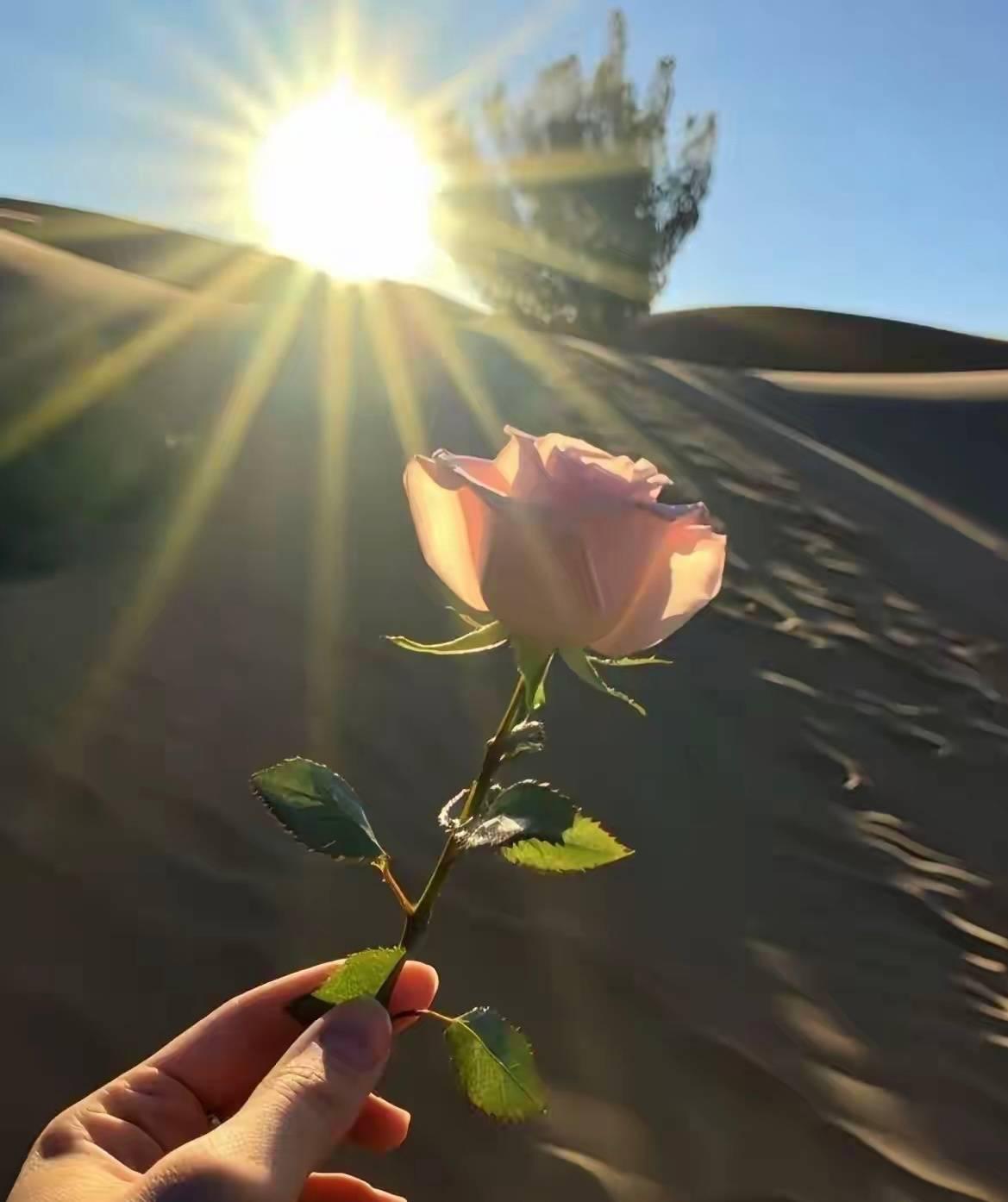 婚姻是第二次投胎，接个婚把对方的房子拿到手，就可以从一无所有到千万身价，这样的好