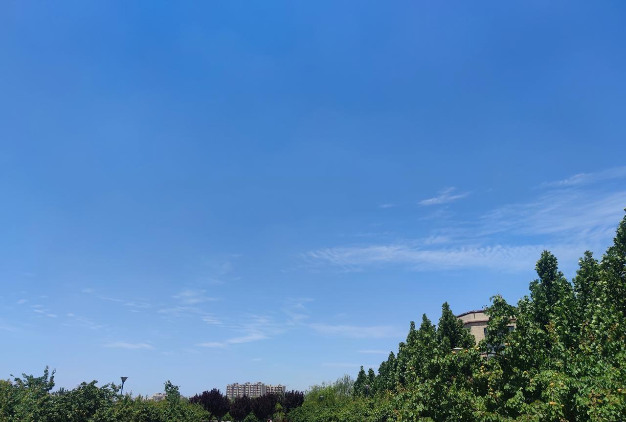 观察发现：单位里领导身边的心腹；你会发现他跟工作干的出色的人完全是两批人；
