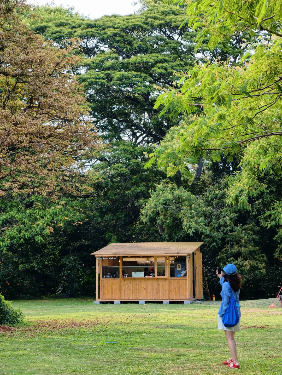 深圳湾公园3种打开方式｜本地人推荐省力版