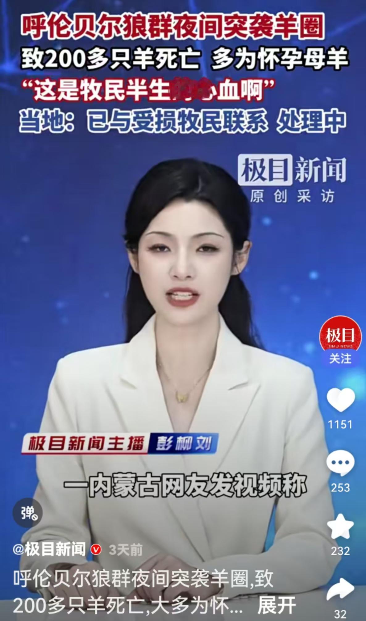 草原上的寒风还没散去，一则关于狼群与羊群的消息牵动了无数网友的心。事情发生在20