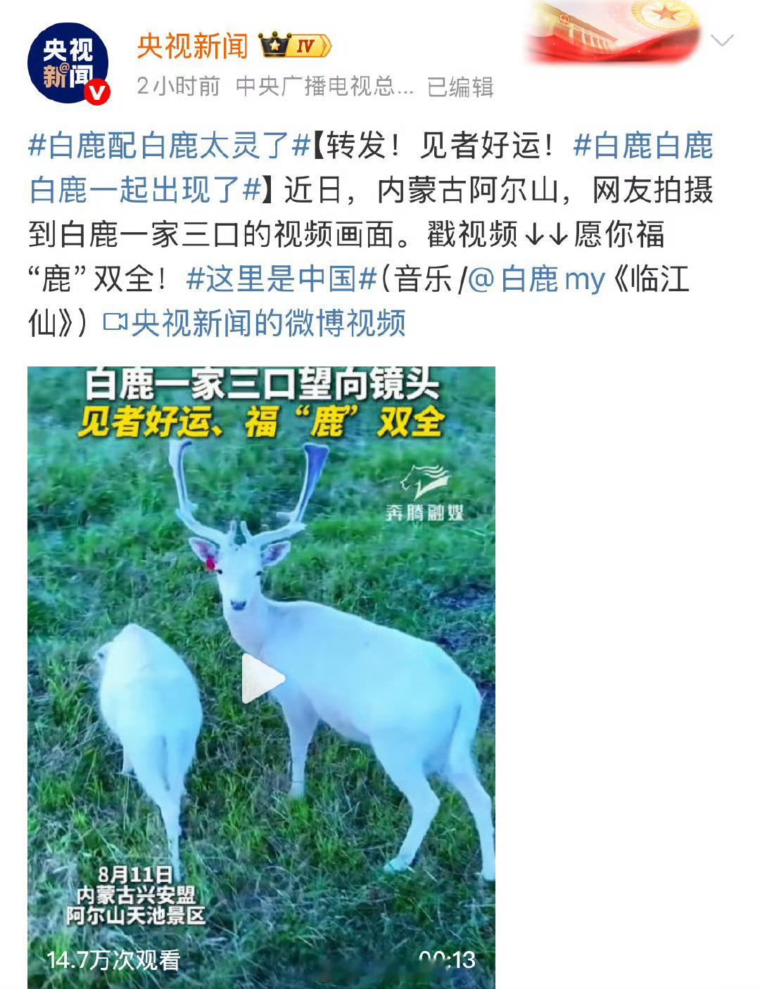央视新闻发了白鹿唱的临江仙配乐了！​​​迎接好运，福“鹿”双全[来