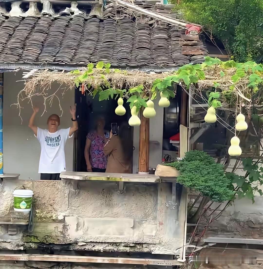浙江绍兴那位盗版“葫芦爷爷”，为了蹭流量，在自家门前也挂了七个山寨葫芦，不过让人