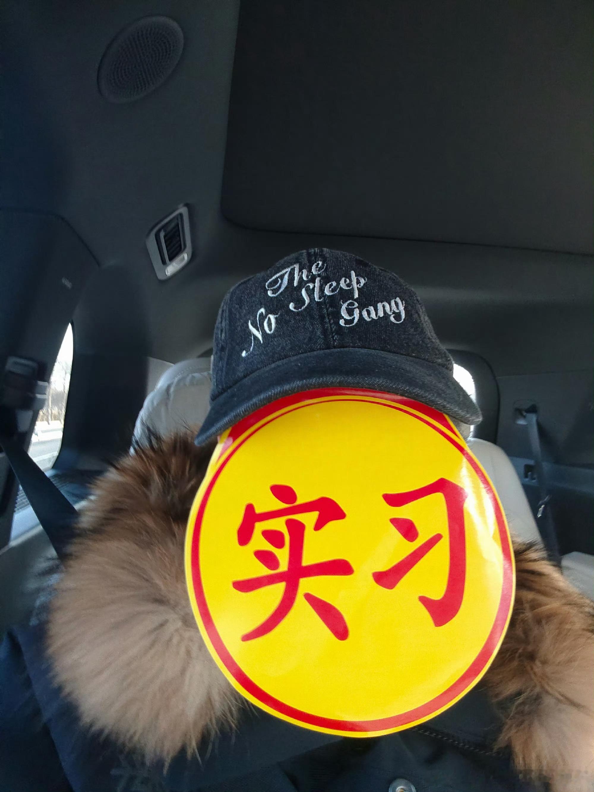 左航C1D齐活家人们双驾照到手左航拿到驾照了