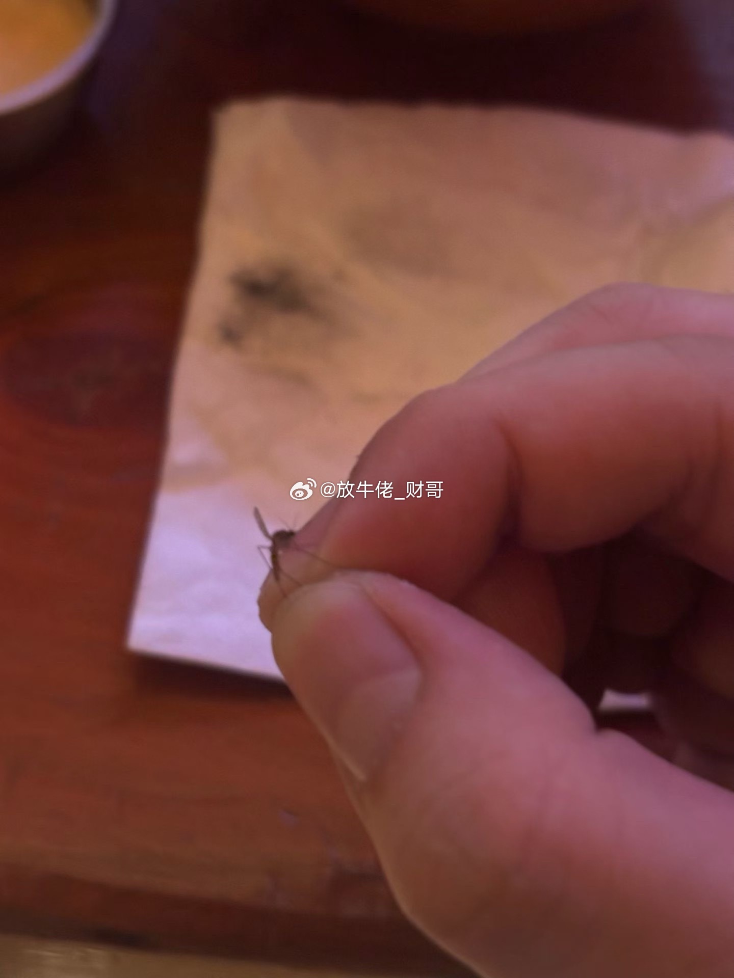 “315”晚会，消息慢慢出来了，可怕吧，前面财哥也有提醒过大家：近期不要做食品、