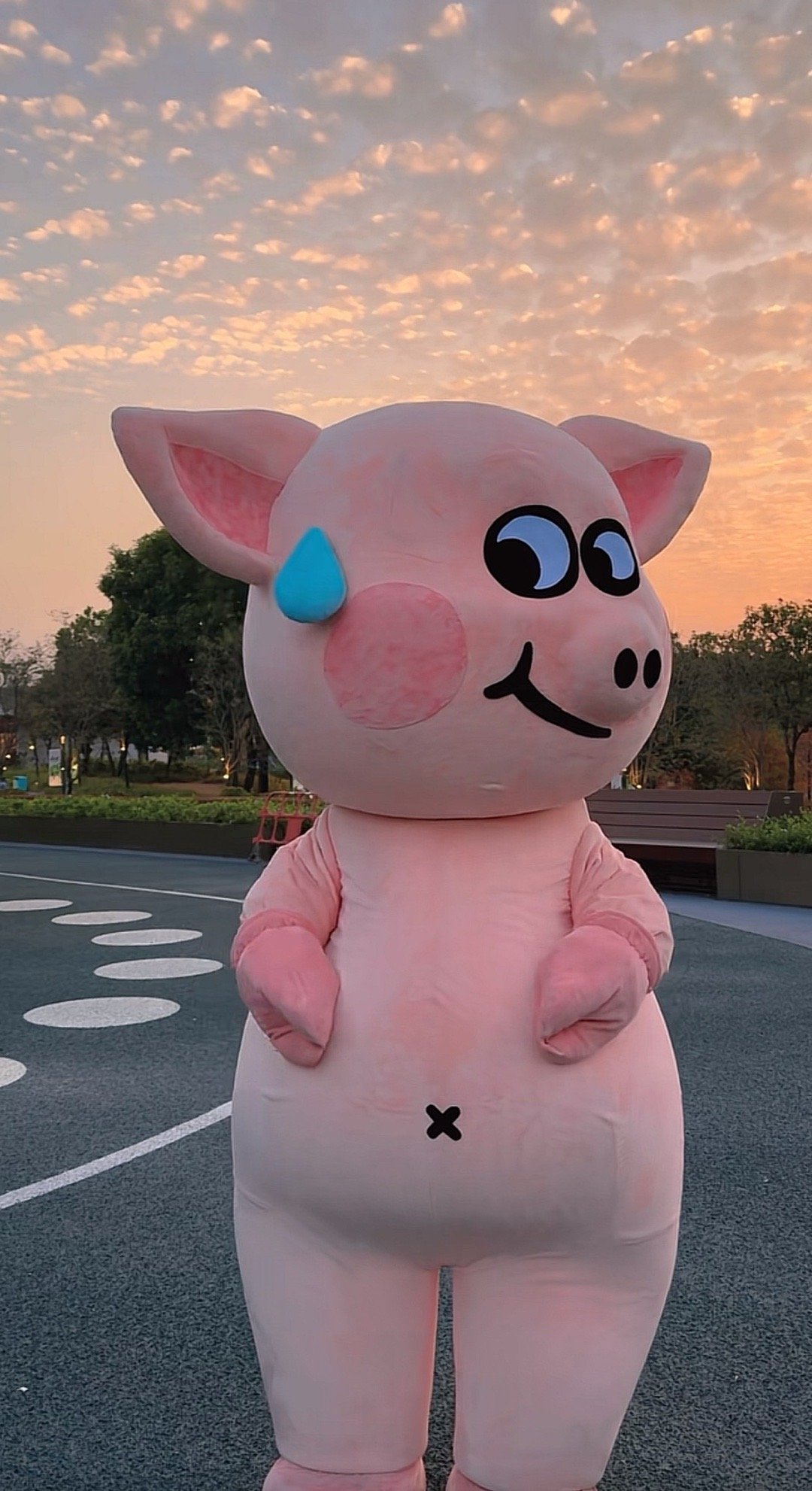 顶流富贵猪(ˉ(∞)ˉ)