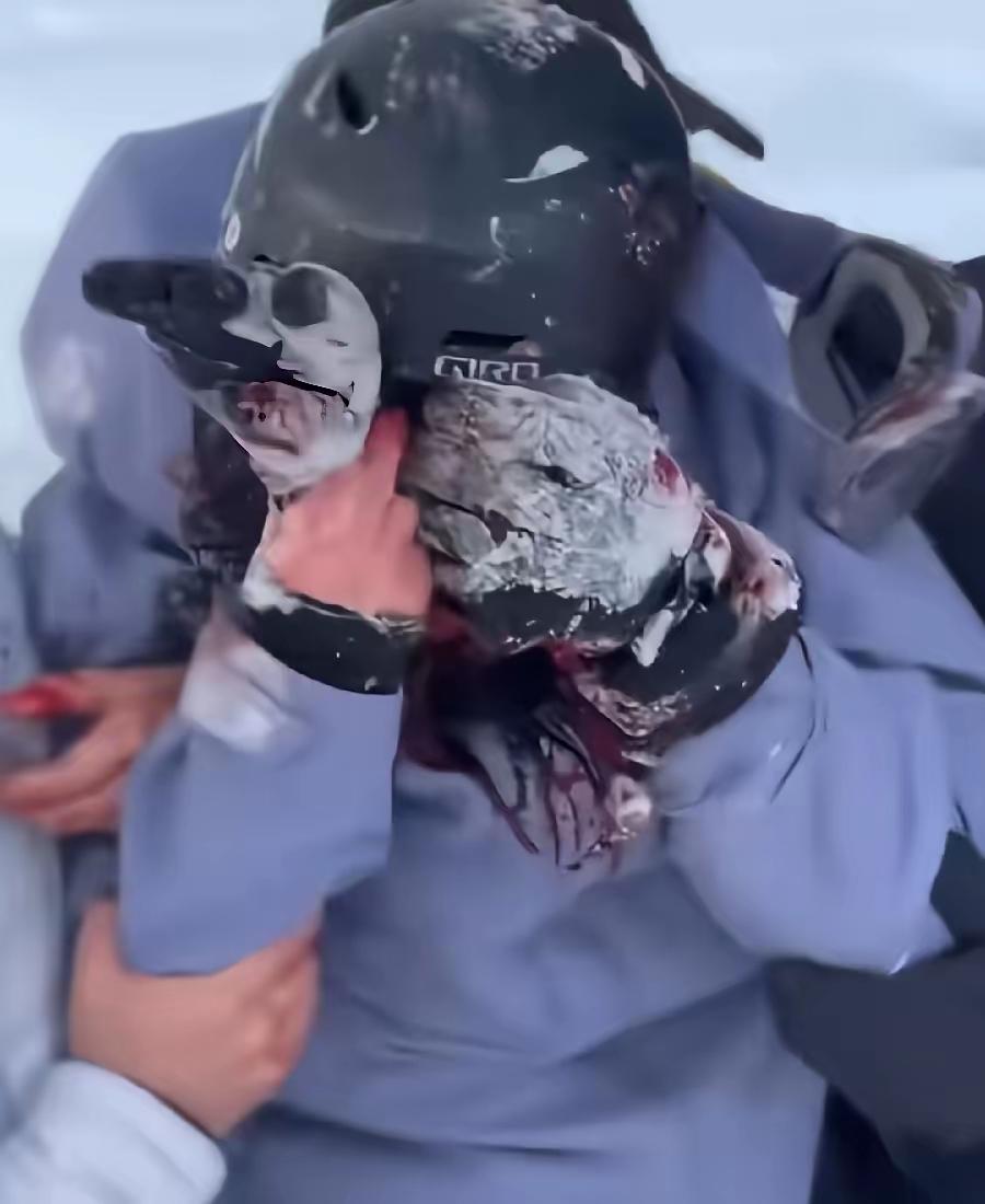 有撸猫的，咋还有撸这个的？你说这姑娘咋想的，你是真把雪豹当大猫了啊，你也太不尊