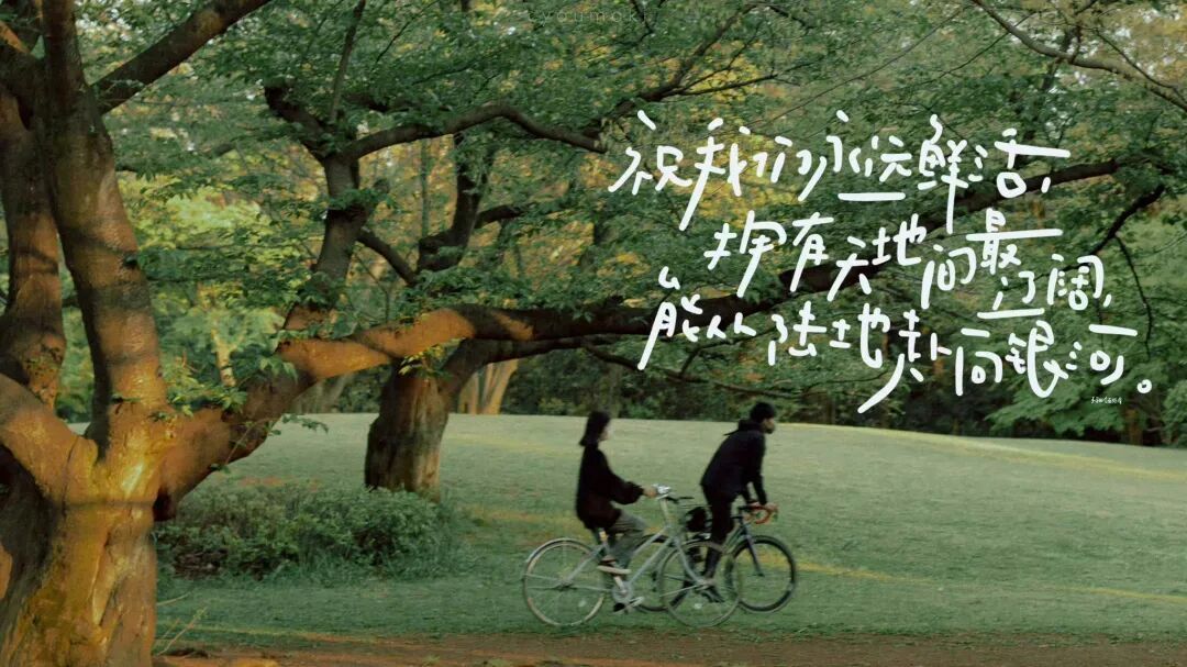 电脑壁纸｜iPad壁纸壁纸分享｜横屏壁纸｜高清壁纸专栏·壁纸💖💚