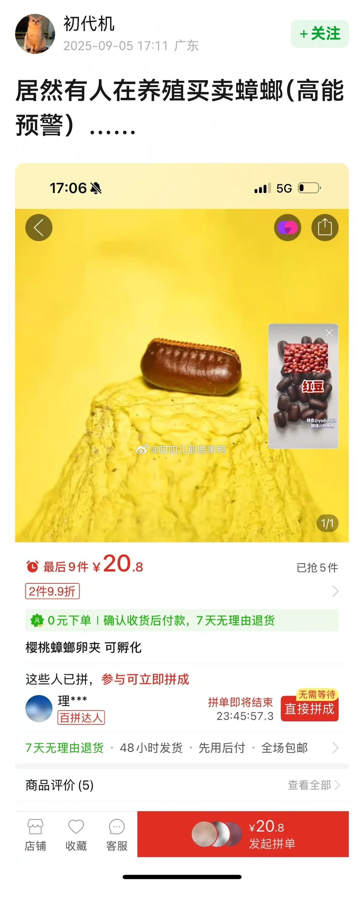 图二好多密密麻麻的小强，这个快递要是在途中破损了，那不就。。。[