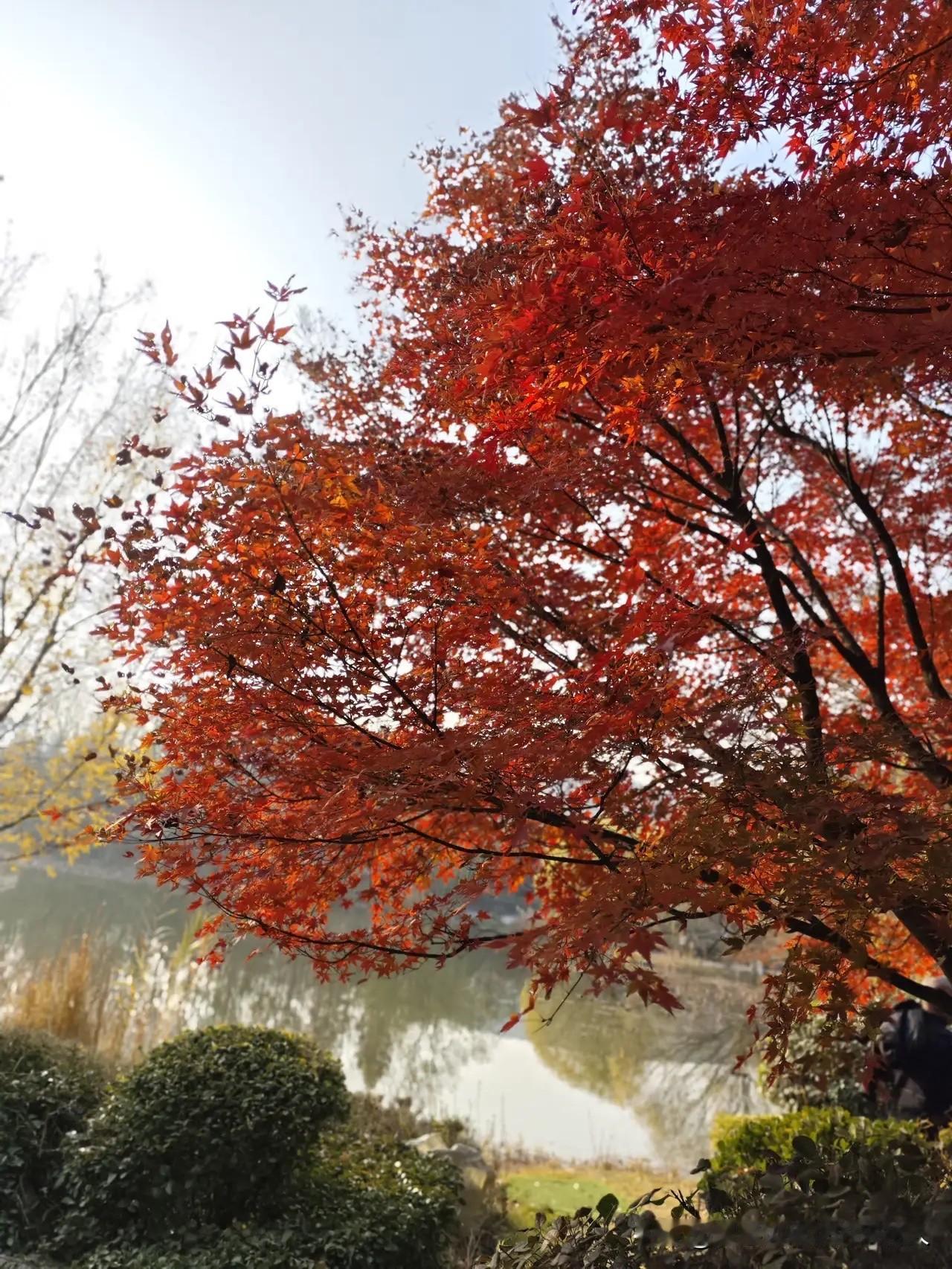 冬至讲究三做三不做，照着做舒服过冬，来年也顺顺当当。三做：一是开窗通风，把屋