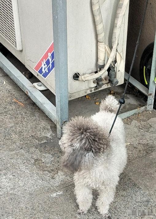 我不知道其他人怎么看农村养老金，但我知道我妈很知足。我母亲六七十岁了，一开始