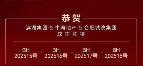 合肥今天土拍也是拍了个寂寞。滨投，中海，城改一起拿地。