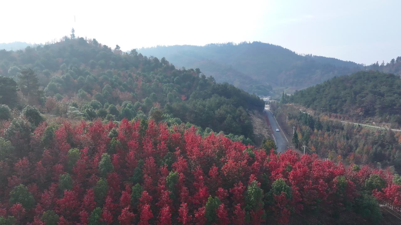 河南潢川秋意渐浓，景致愈发旖旎，正是寻秋赏秋的好时节。那红得热烈、黄得明艳、