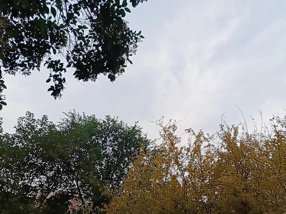 炒股能不能赚钱？能。有没有稳赚不亏，跑赢银行利率的方法？有。前提是你能做到以