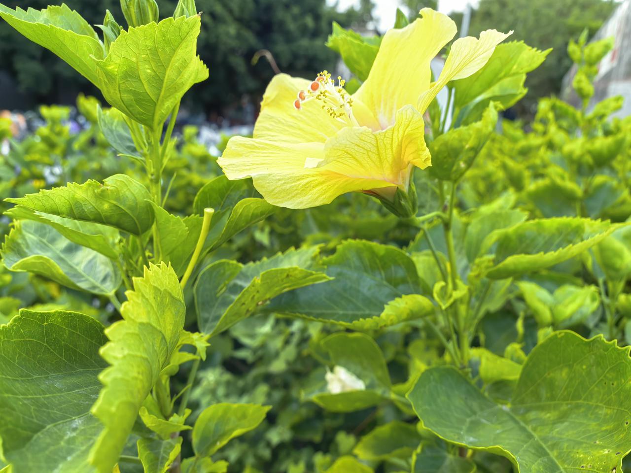 当时好，就怕以后受罪