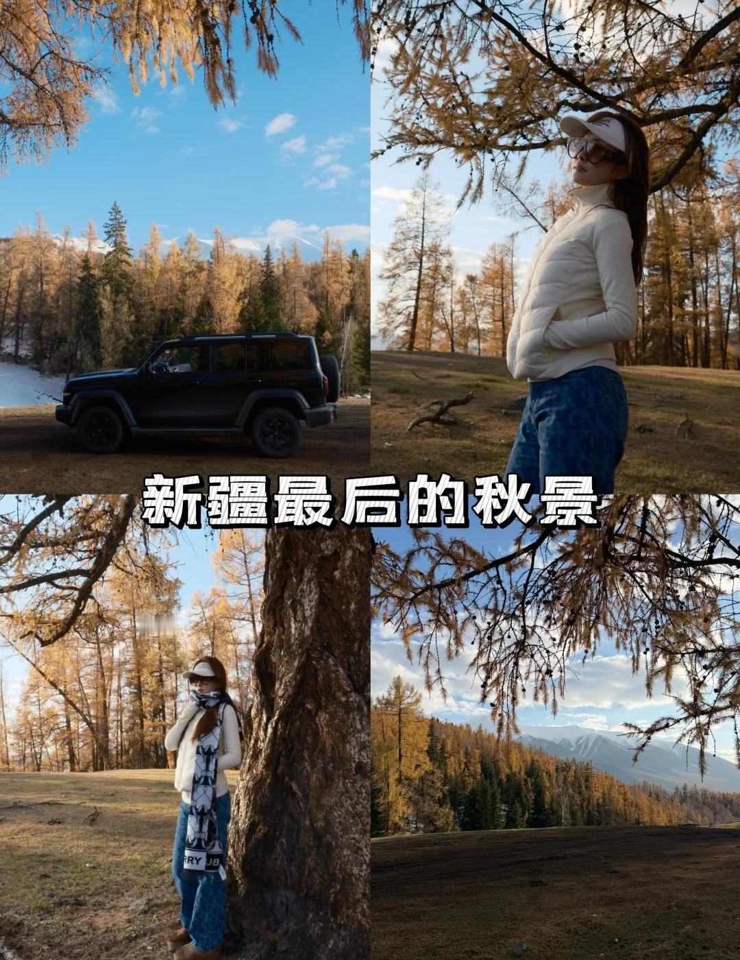 新疆不自驾游你会后悔的其实真正特别美的景色都是在路上自己开车想在哪里停就在哪