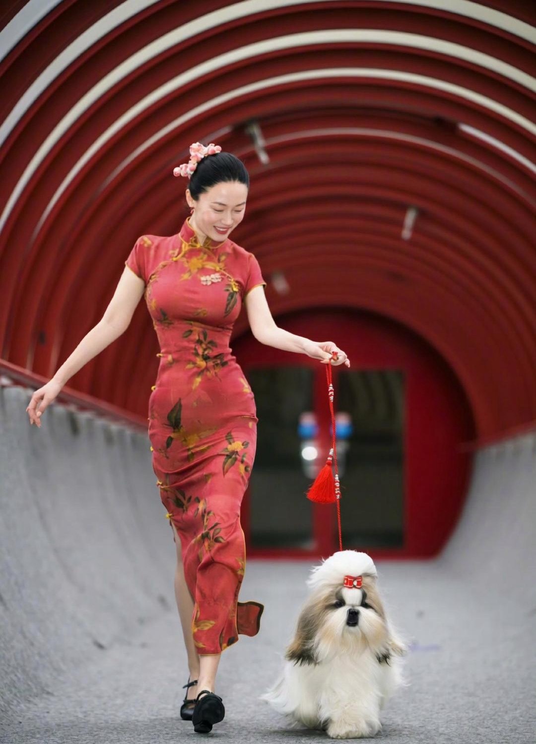 大家觉得，霍思燕这波炫的到底是狗还是身材啊！