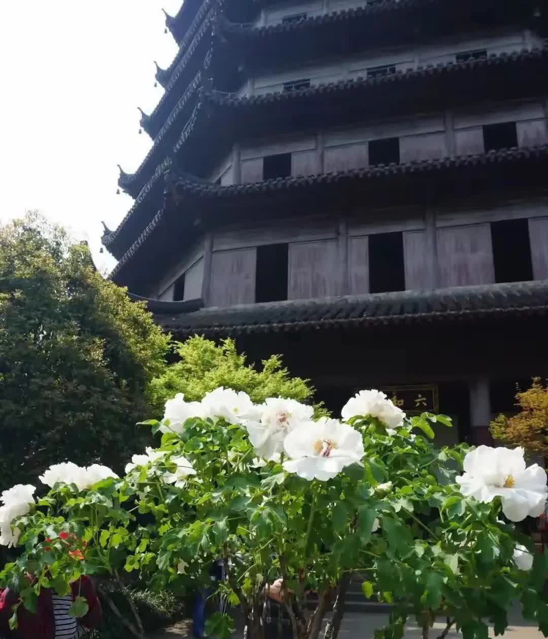 女子回无父母的娘家，嫂子全程未露面大半年没回娘家，女子趁有空骑电动车，带着金