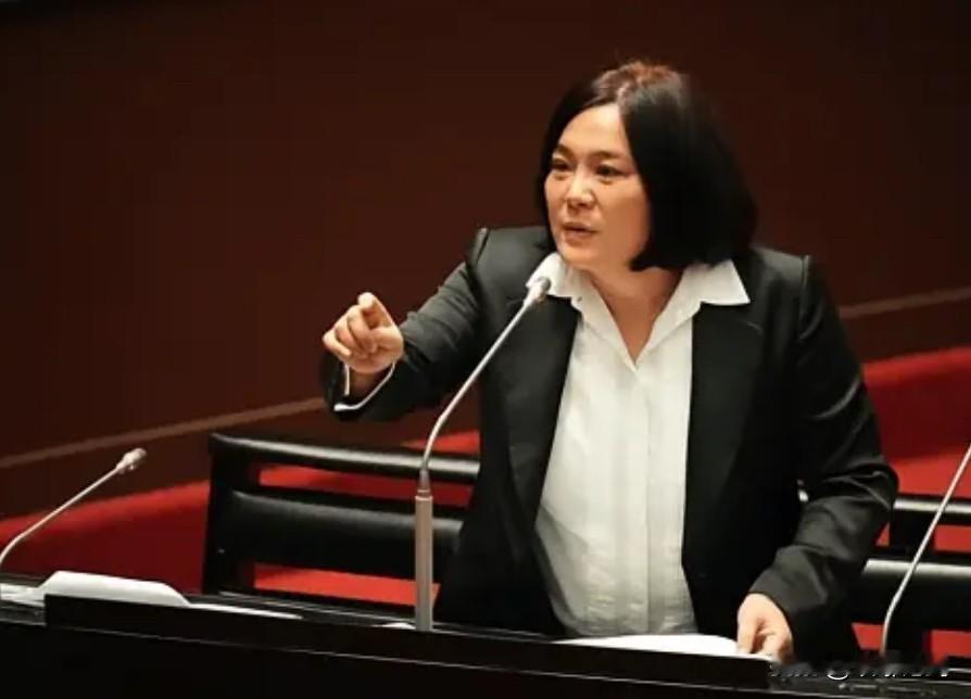 金门立委陈玉珍重磅发声！铁证戳破台独谎言，一中底线不容撼动2026年1月24