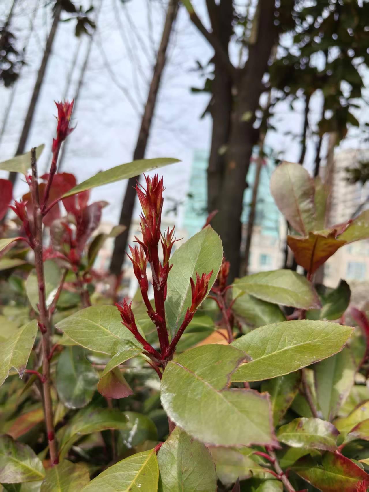 女儿说她发了3万的年终奖，要带我和老伴出去旅游，我毫不犹豫的拒绝了，亲家却说我应