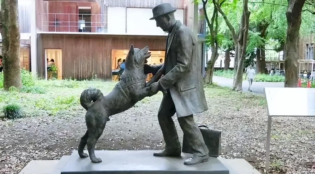 这张照片是忠犬八公（Hachiko）去世时的照片。这只狗因为在日本涩谷站苦等已经