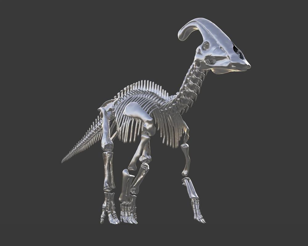 “龙骨”是一味中药，当然并不是真的“龙”骨，而是古代大型哺乳动物（如象、犀牛、三