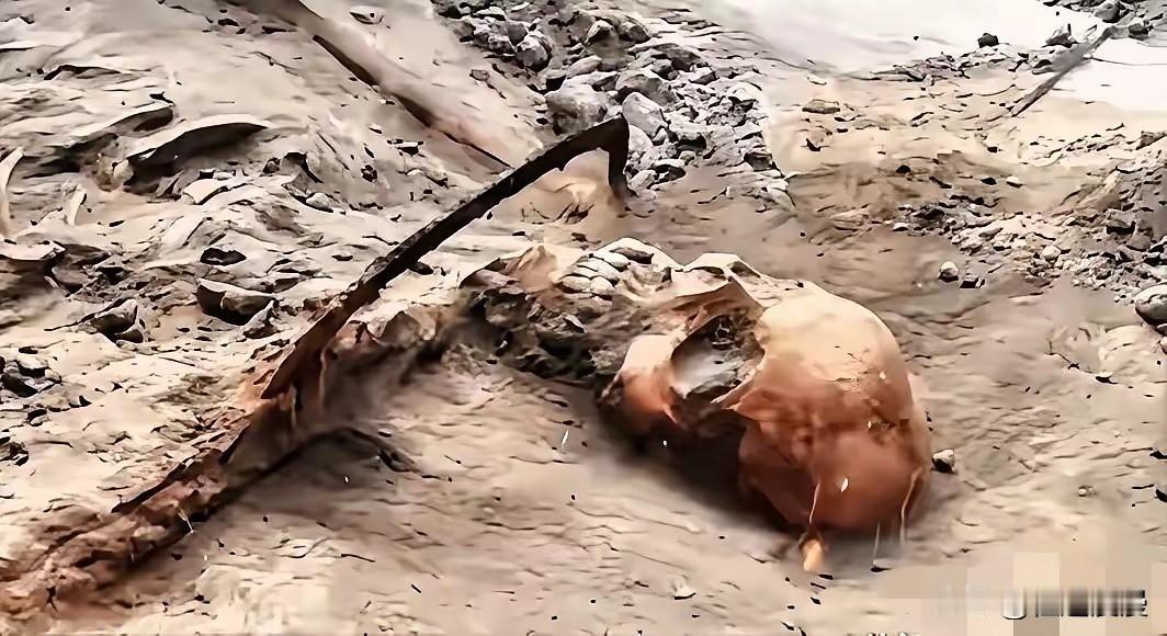 1068具遗骸，整整在土里埋了83年。就在前两天，河南舞钢挖出来的。如果不动土，