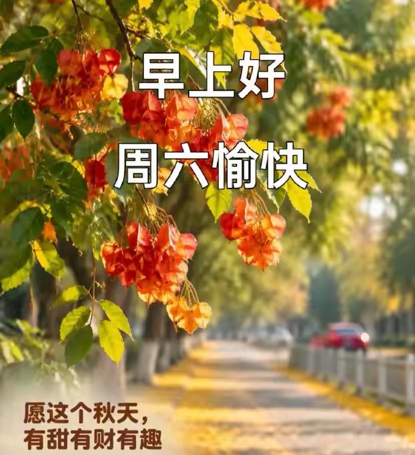 ☀️早安！清晨一声问候，简单却暖心。放下昨日疲惫，拥抱崭新一天。愿日子清净